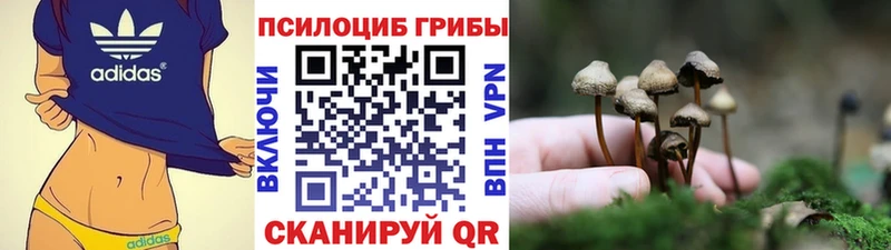 Псилоцибиновые грибы Magic Shrooms Оленегорск