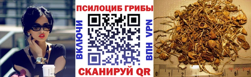 Псилоцибиновые грибы Magic Shrooms Оленегорск